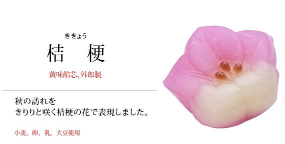 桔梗