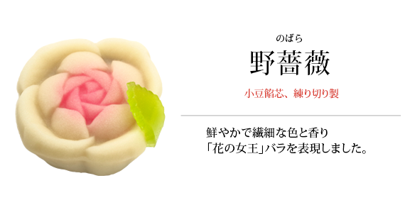 野薔薇