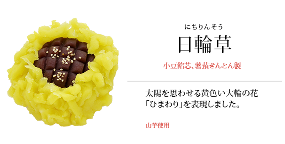 日輪草
