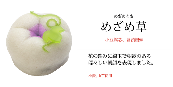 めざめ草