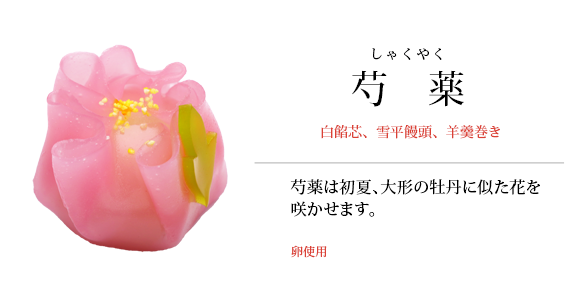 芍薬