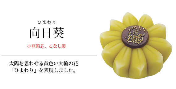 紫陽花