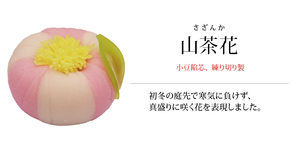 山茶花