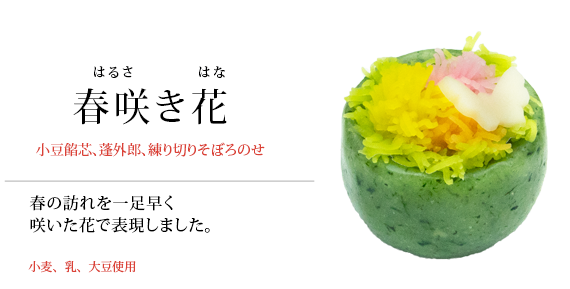 春咲き花