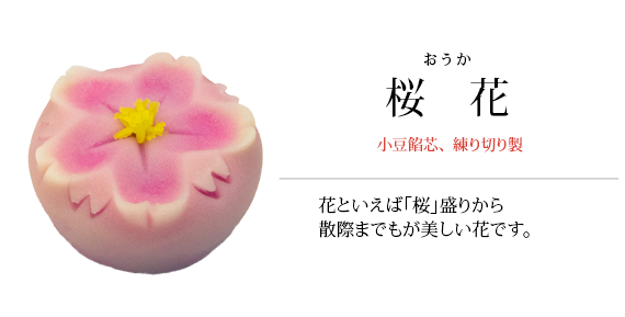 桜花
