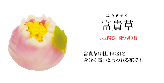 富貴草