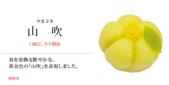 山吹