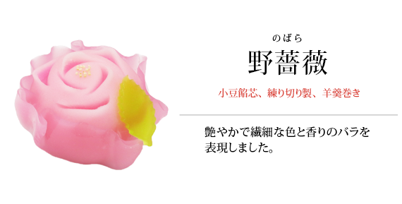 野薔薇