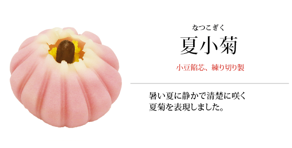 夏小菊