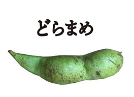 どらまめ01