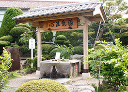 不動の大井戸最中
