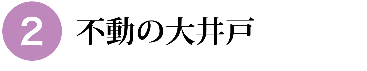 不動の大井戸